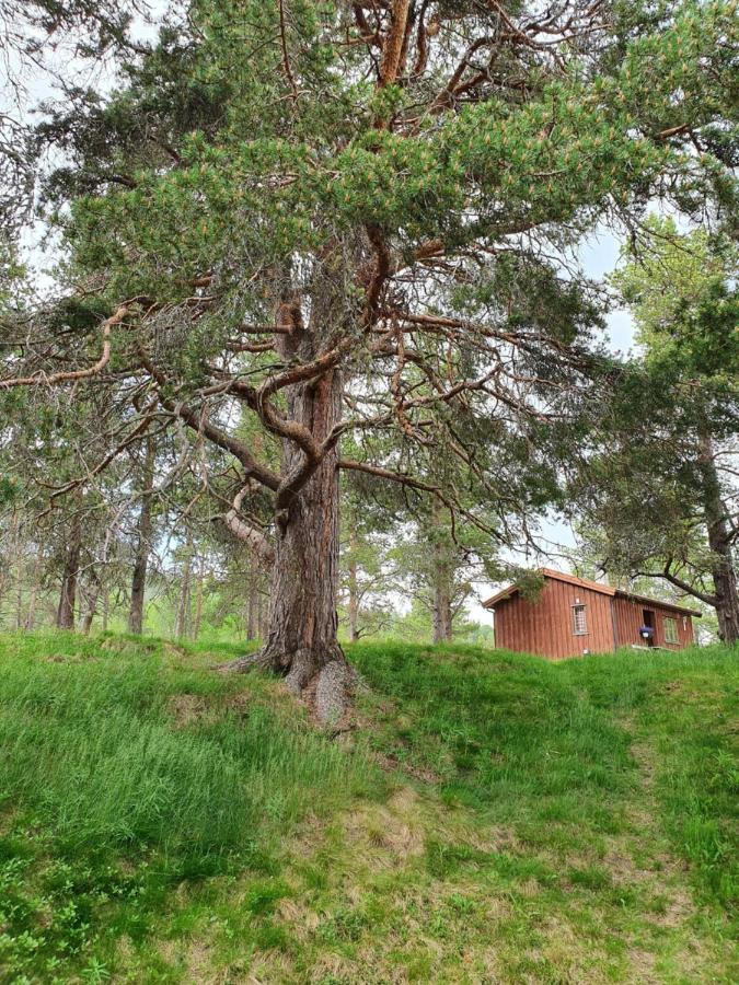Borkhushyttene Villa Rundtom Kültér fotó